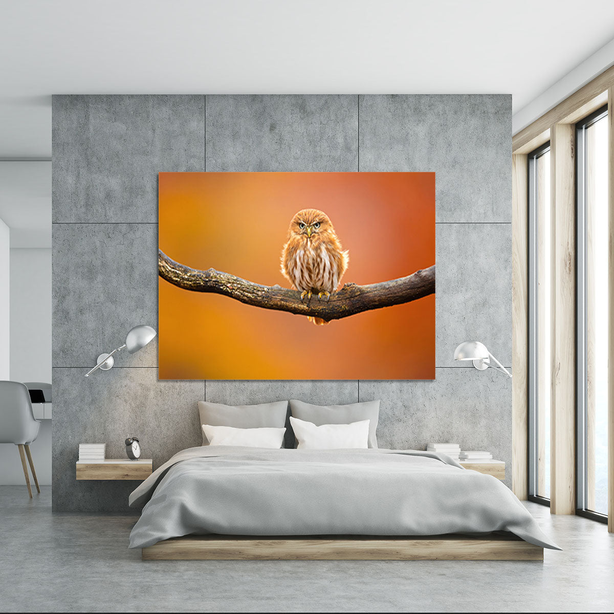 Orange Ferruginous Pygmy Owl Canvas Print or Poster - Canvas Art Rocks - 5