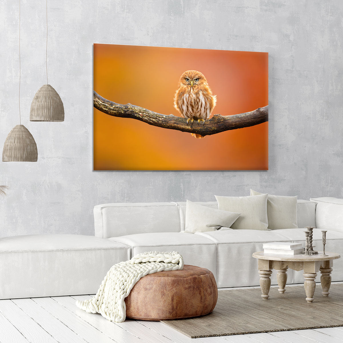 Orange Ferruginous Pygmy Owl Canvas Print or Poster - Canvas Art Rocks - 6