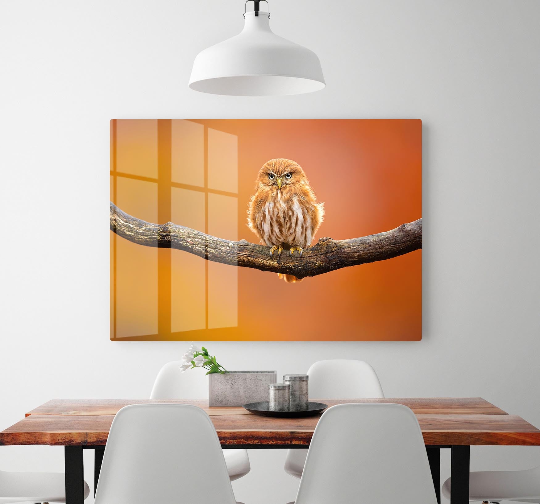 Orange Ferruginous Pygmy Owl HD Metal Print - Canvas Art Rocks - 2