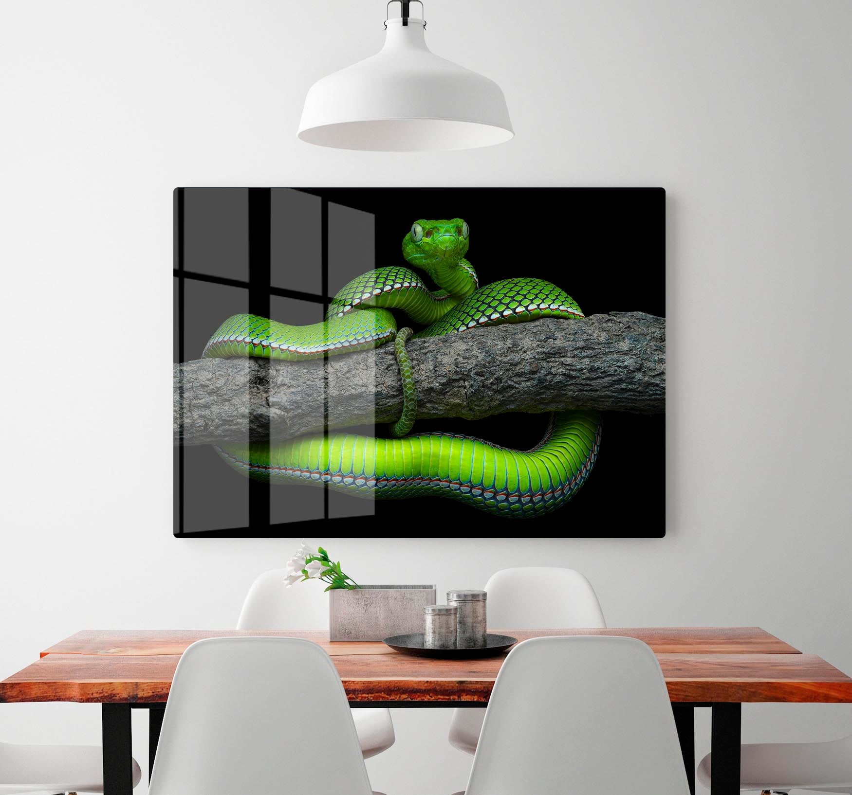 Green Trimeresurus Vogeli Snake HD Metal Print - Canvas Art Rocks - 2