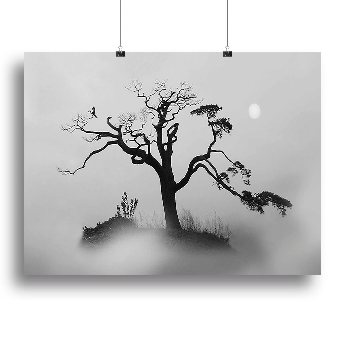 Pine tree In The Fog Canvas Print or Poster - Canvas Art Rocks - 2
