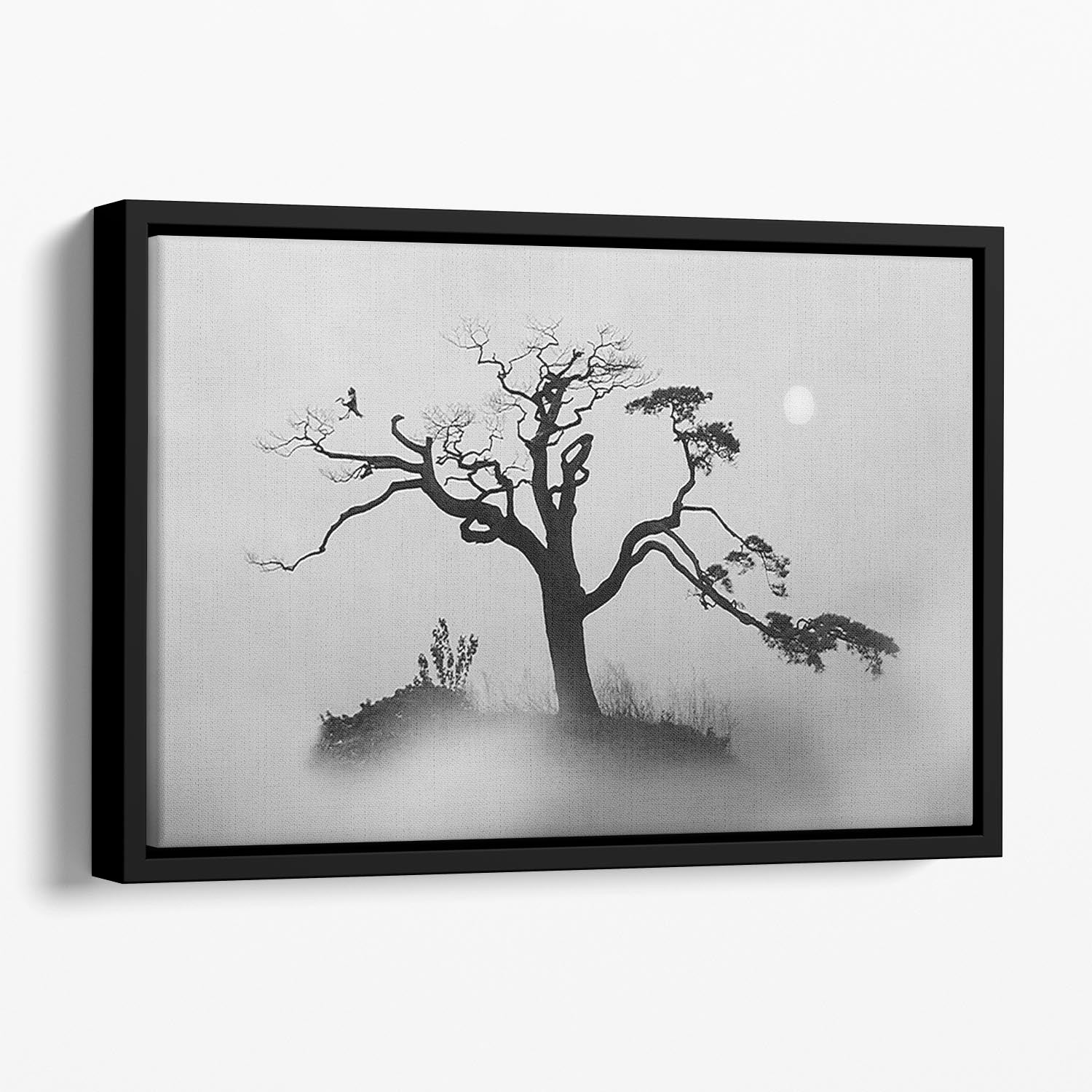 Pine tree In The Fog Floating Framed Canvas - Canvas Art Rocks - 1