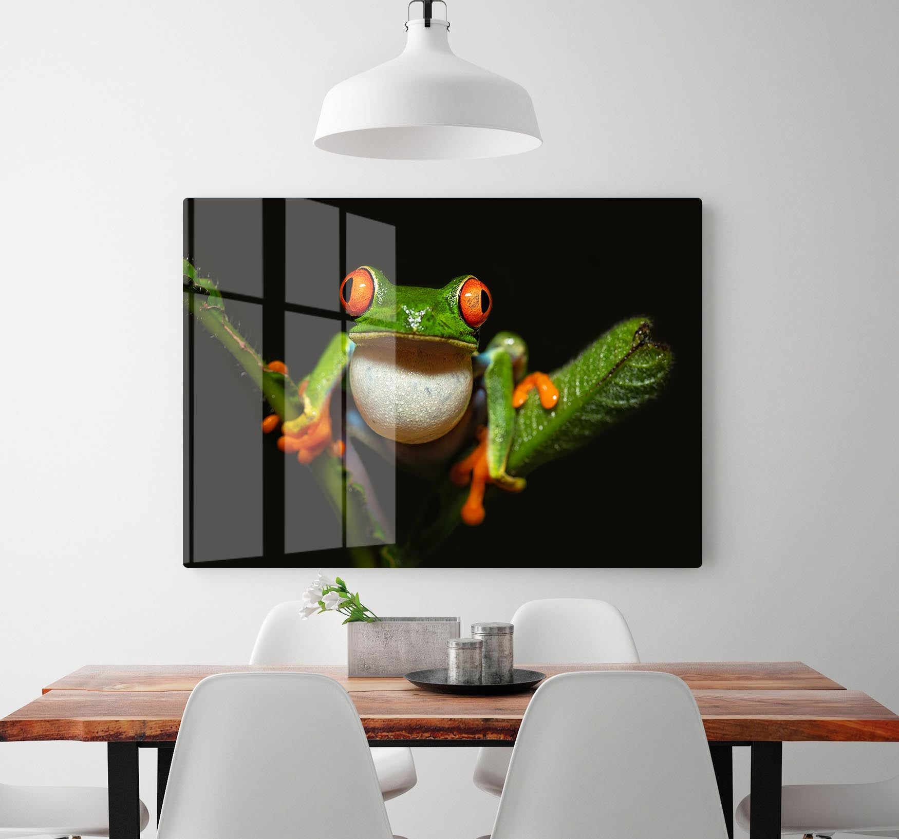 Red-eyed tree frog HD Metal Print - Canvas Art Rocks - 2