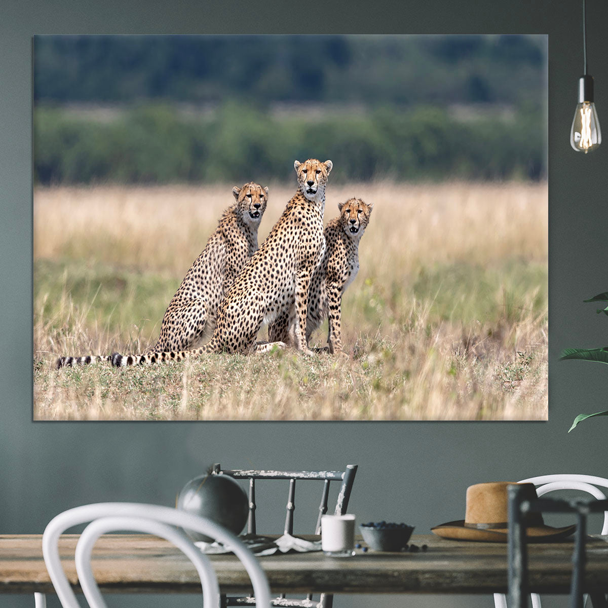 Three Cheetahs Canvas Print or Poster - Canvas Art Rocks - 3