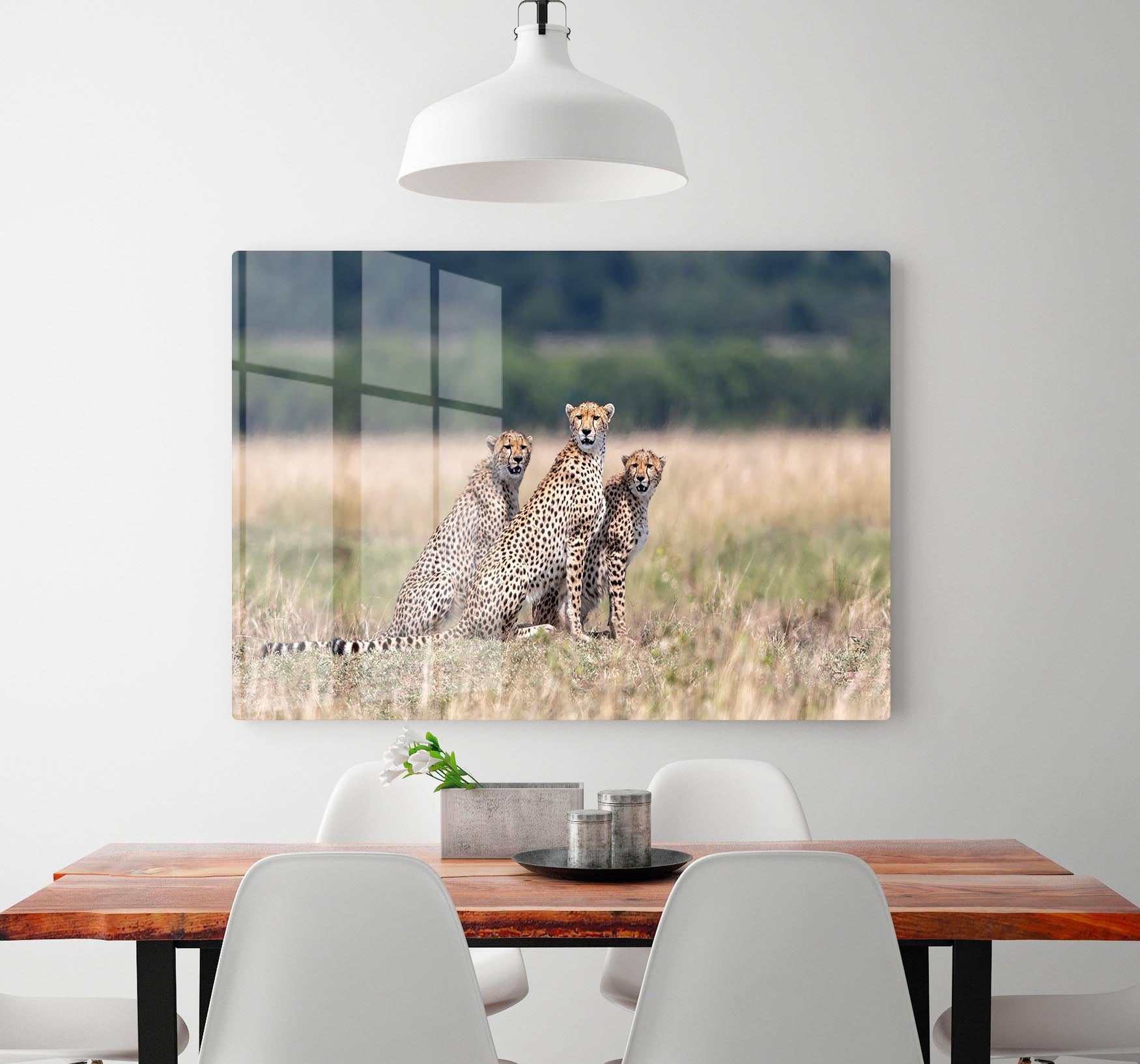 Three Cheetahs HD Metal Print - Canvas Art Rocks - 2