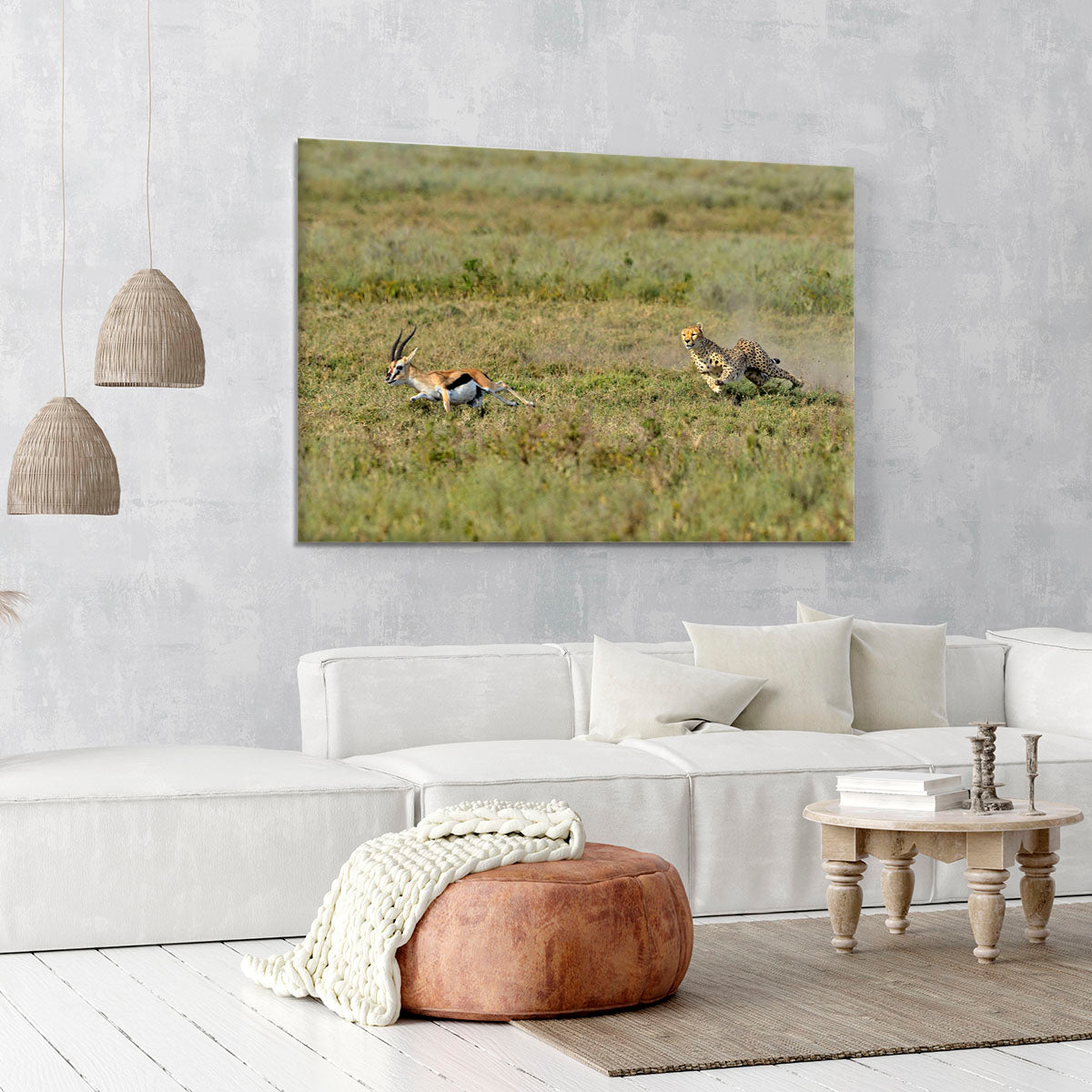 Cheetah Hunting Canvas Print or Poster - Canvas Art Rocks - 6