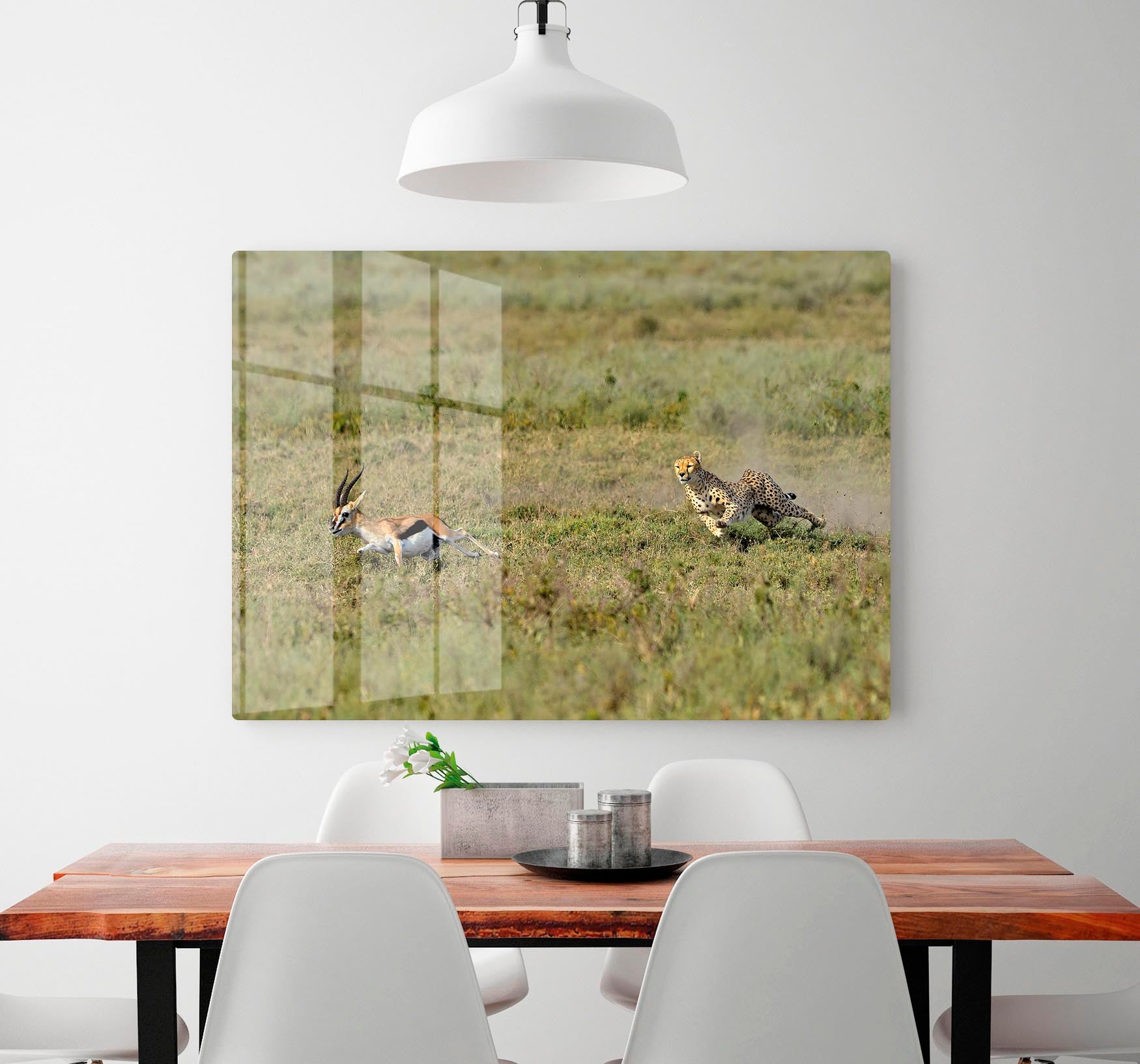 Cheetah Hunting HD Metal Print - Canvas Art Rocks - 2