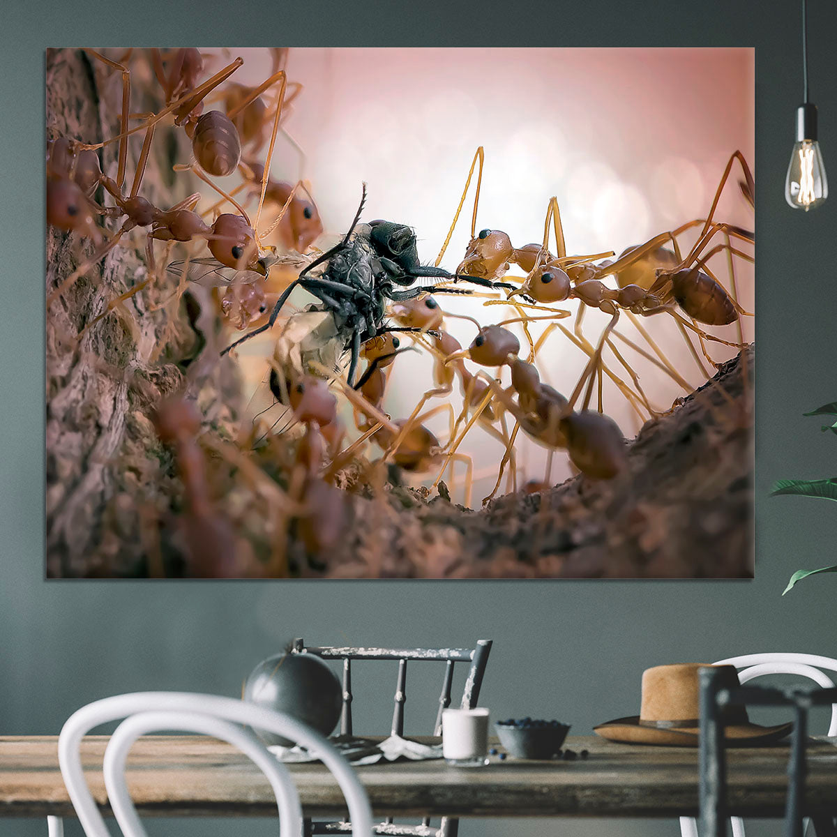 Close p Of Insects Canvas Print or Poster - Canvas Art Rocks - 3