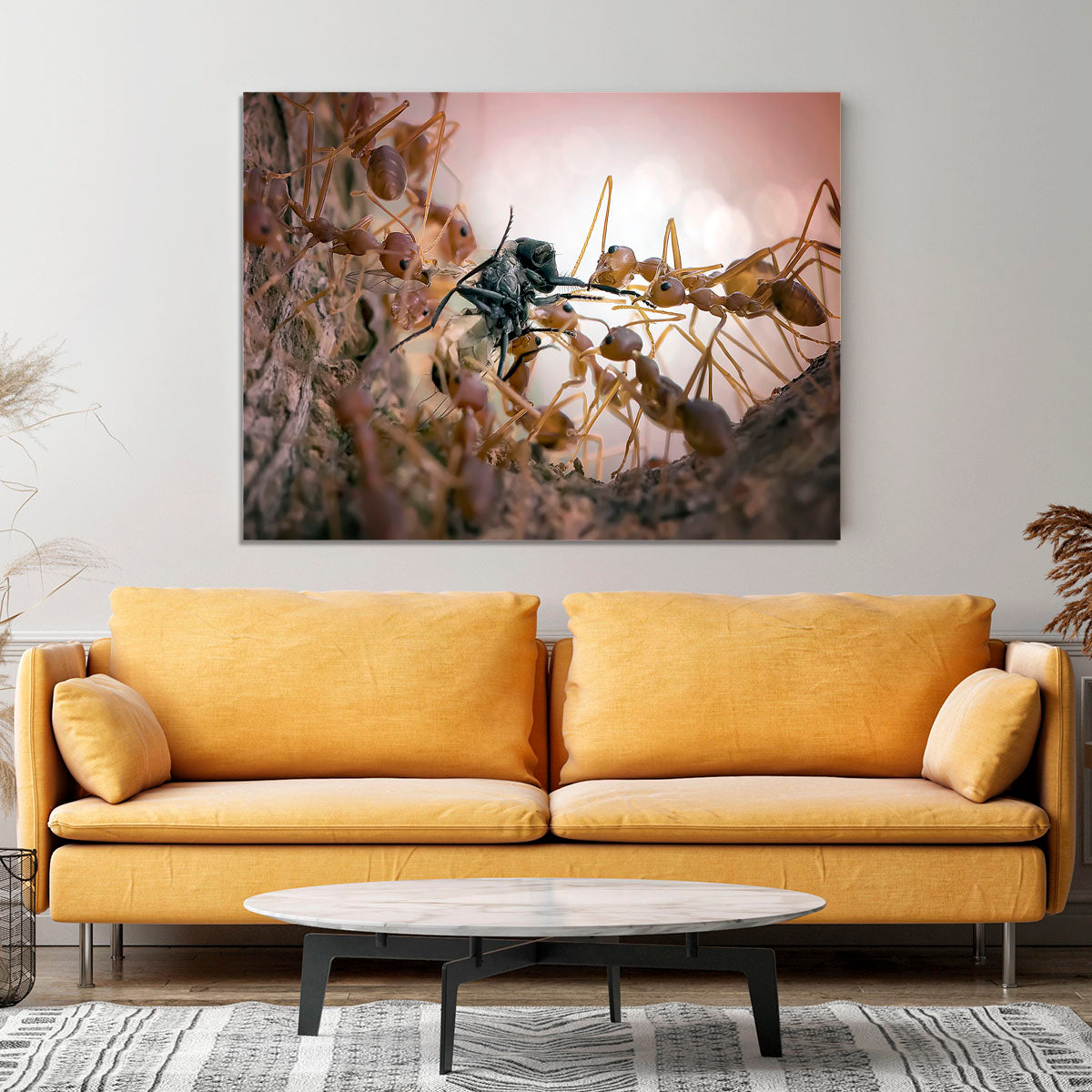 Close p Of Insects Canvas Print or Poster - Canvas Art Rocks - 4