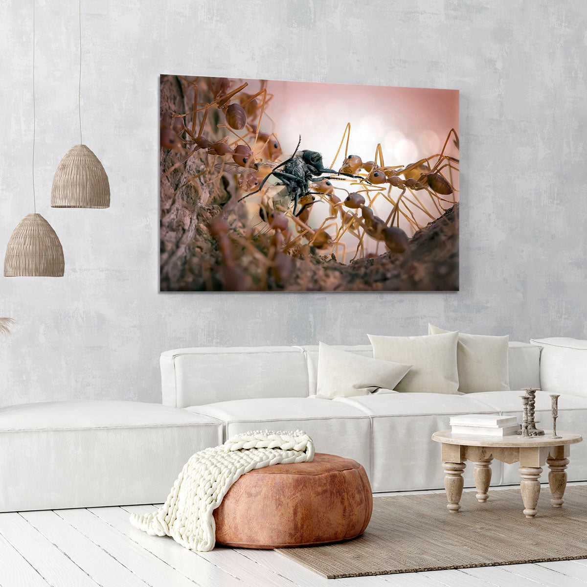 Close p Of Insects Canvas Print or Poster - Canvas Art Rocks - 6