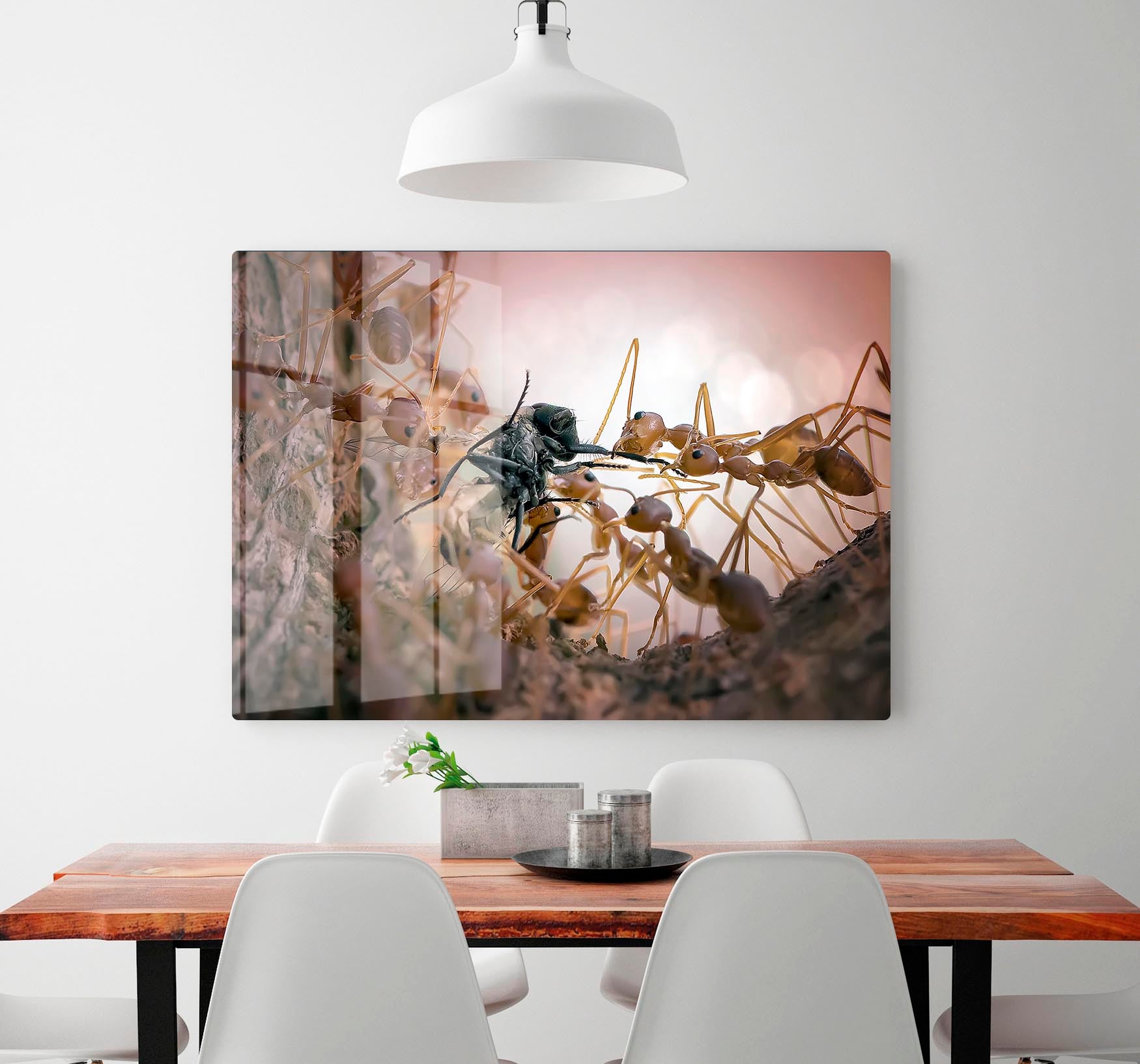 Close p Of Insects HD Metal Print - Canvas Art Rocks - 2