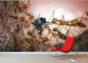 Close p Of Insects Wall Mural Wallpaper - Canvas Art Rocks - 2