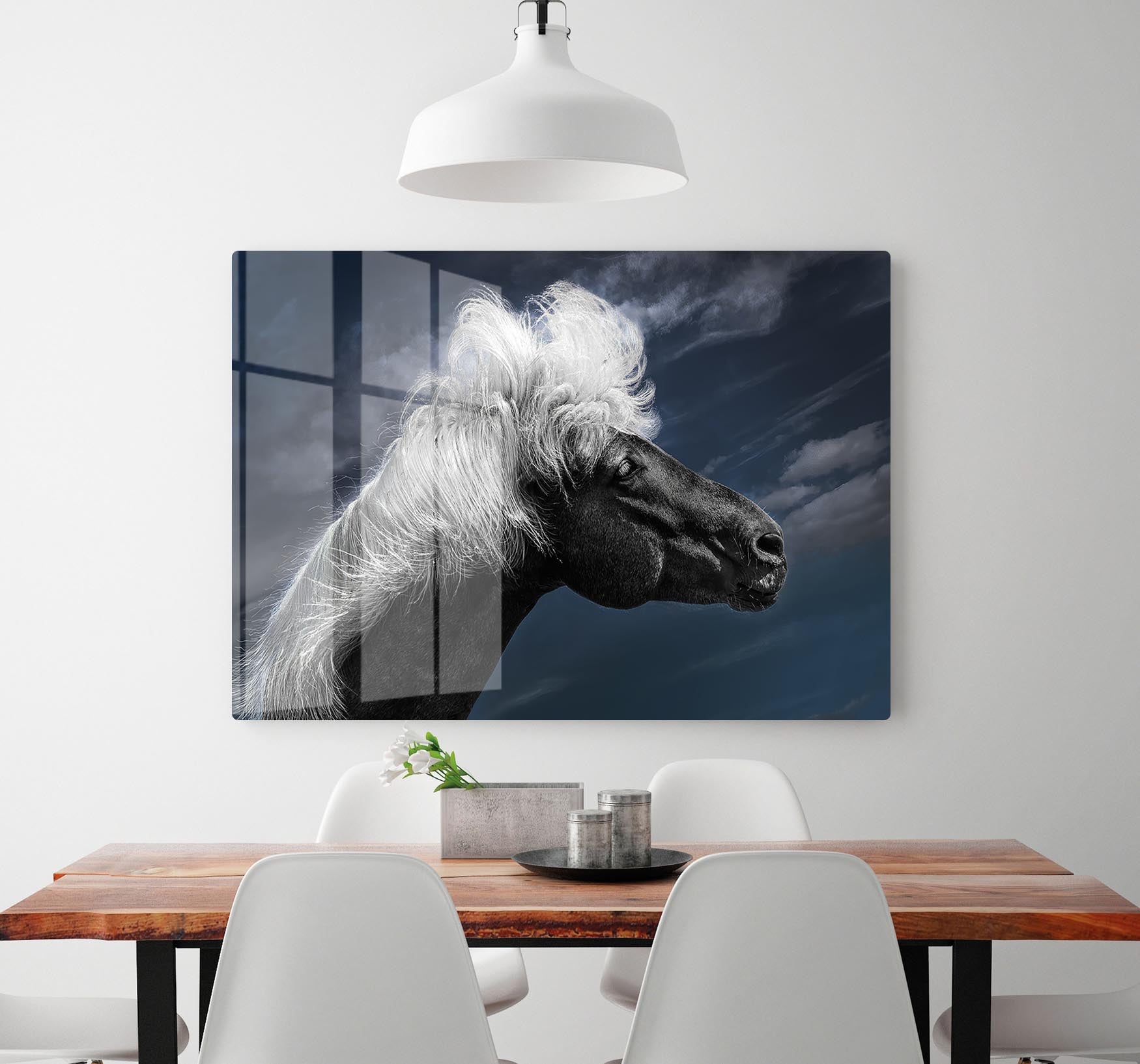 White Mane On A Black Horse HD Metal Print - Canvas Art Rocks - 2