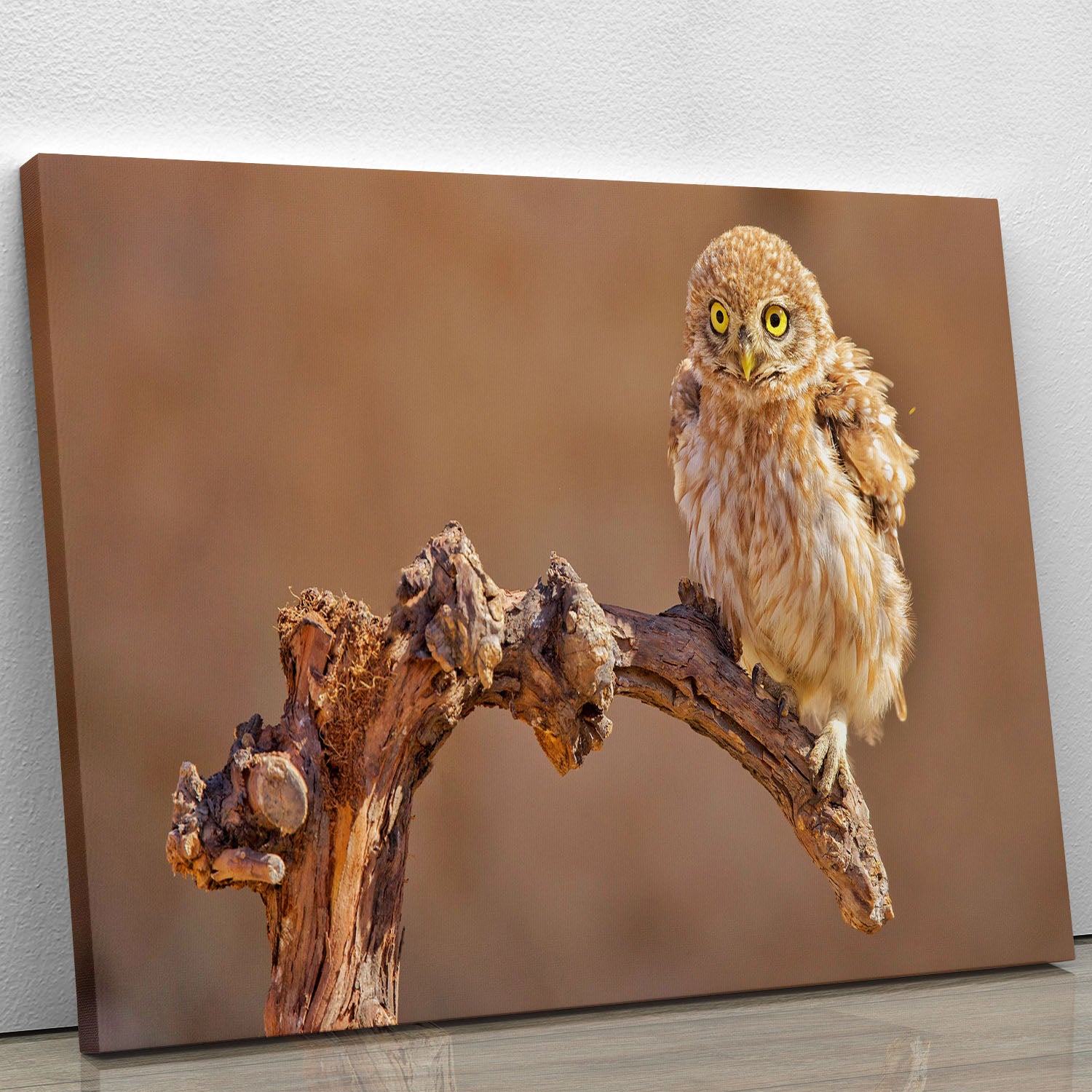 Little Owl On A Branch Canvas Print or Poster - Canvas Art Rocks - 1