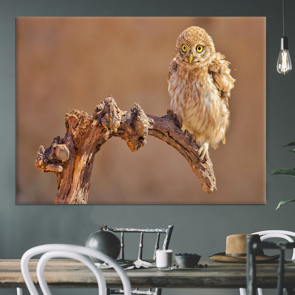 Little Owl On A Branch Canvas Print or Poster - Canvas Art Rocks - 3