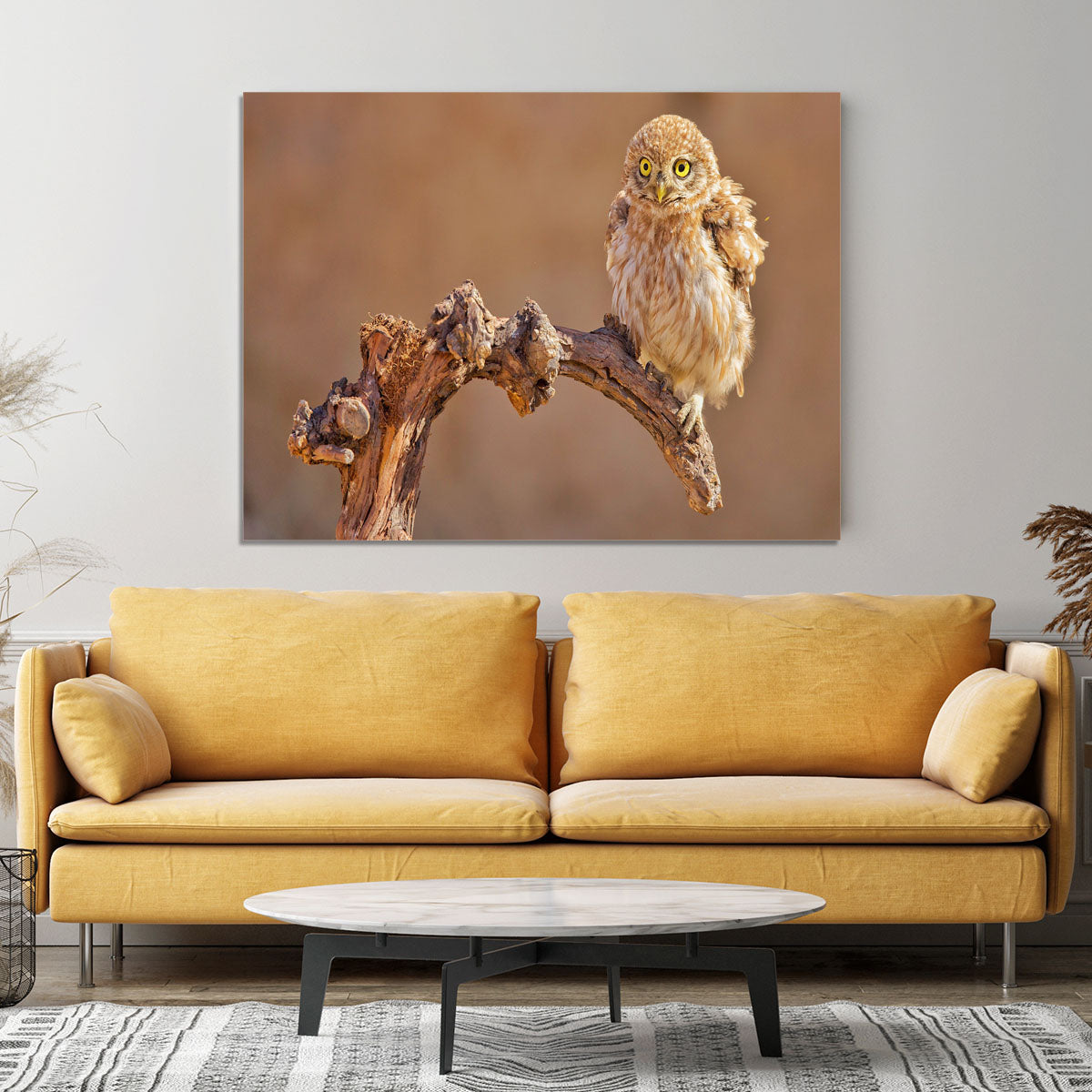 Little Owl On A Branch Canvas Print or Poster - Canvas Art Rocks - 4