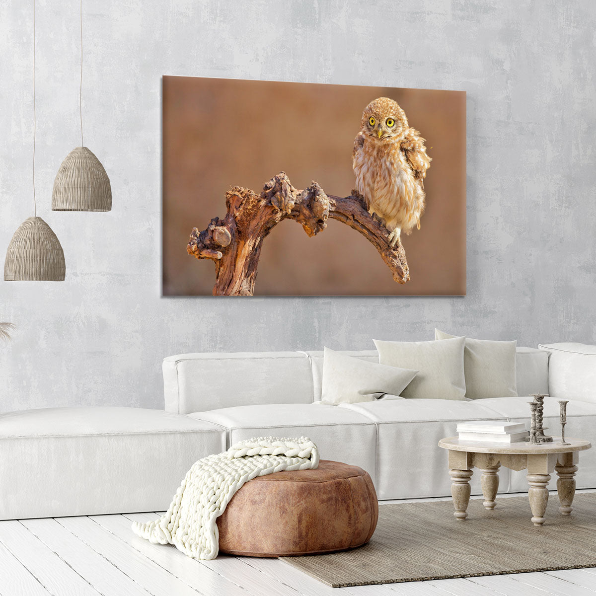 Little Owl On A Branch Canvas Print or Poster - Canvas Art Rocks - 6