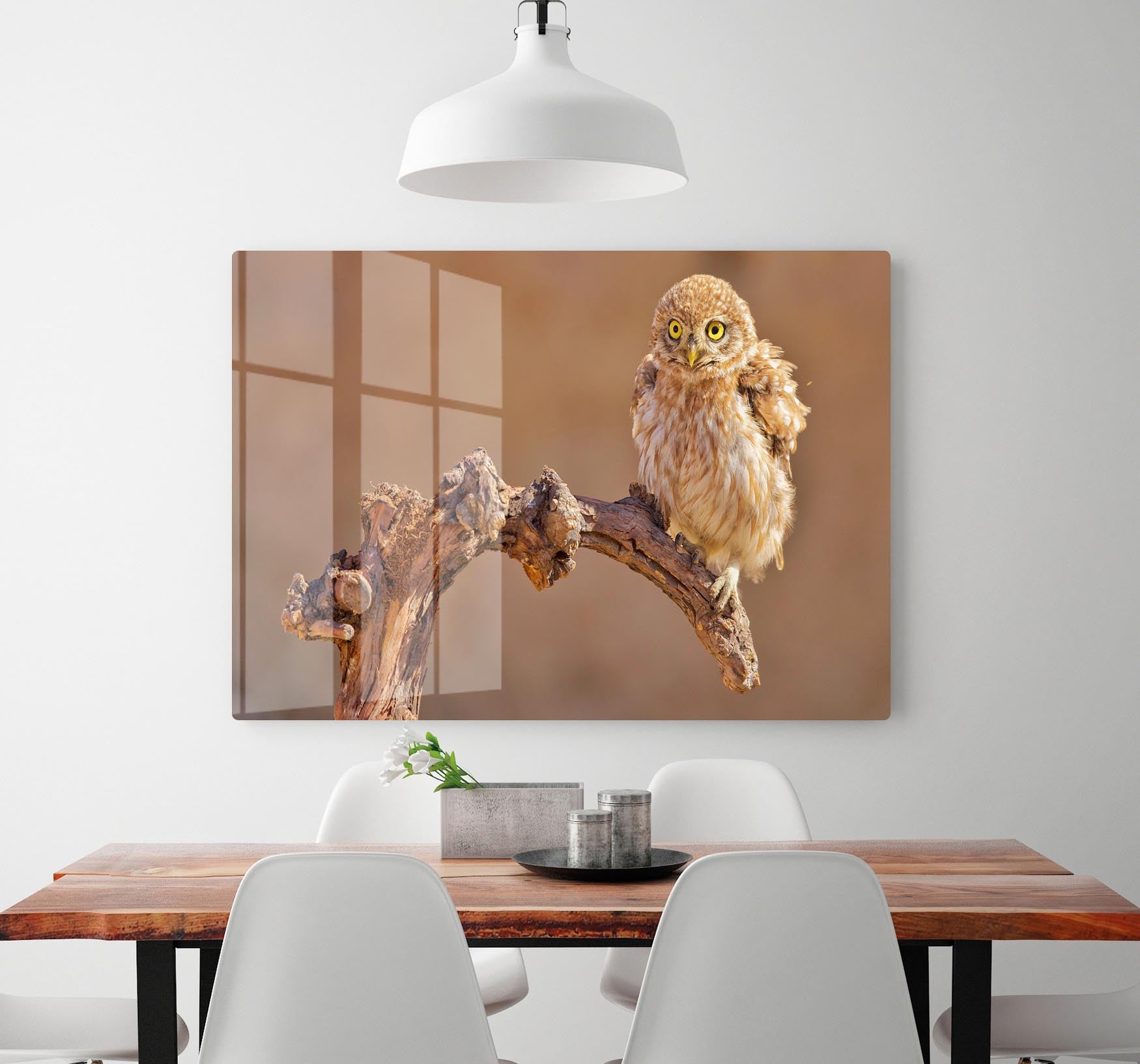 Little Owl On A Branch HD Metal Print - Canvas Art Rocks - 2
