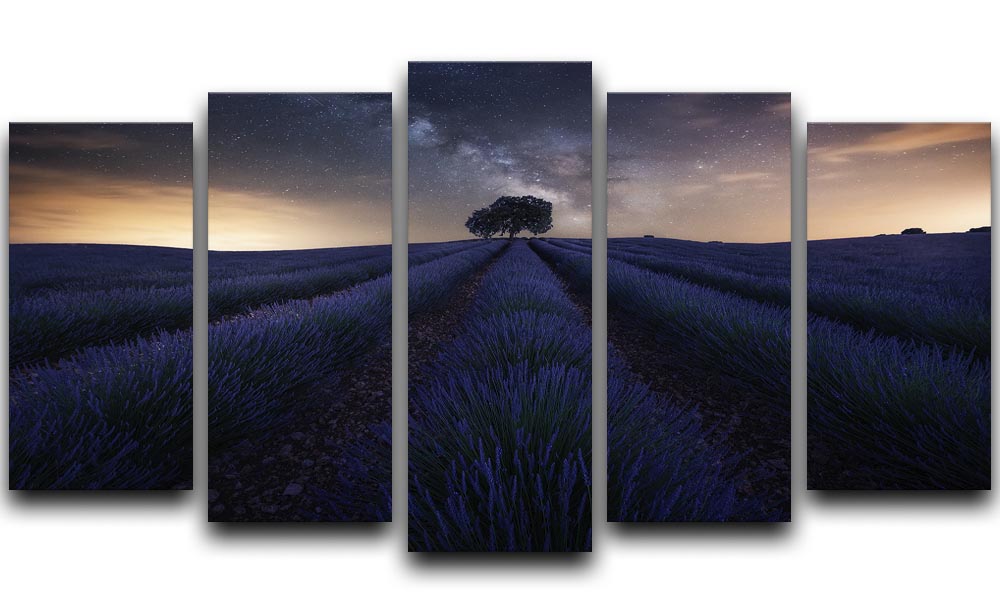 Starry Night on A Lavendar Field 5 Split Panel Canvas - Canvas Art Rocks - 1