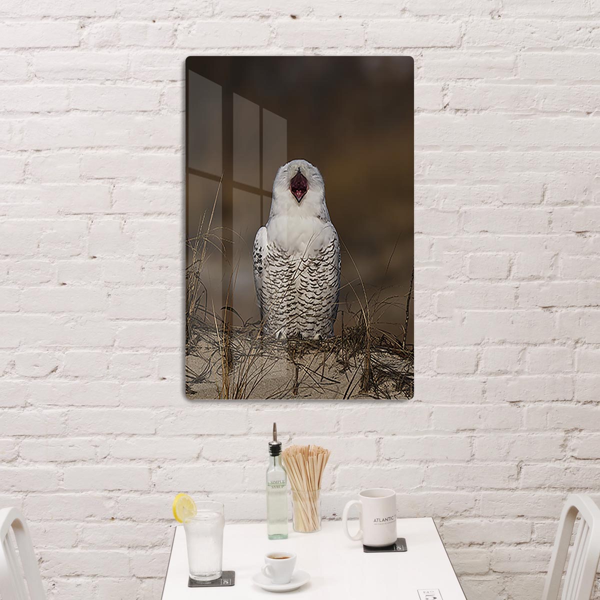 A Snowy Owl Chirping HD Metal Print - Canvas Art Rocks - 2