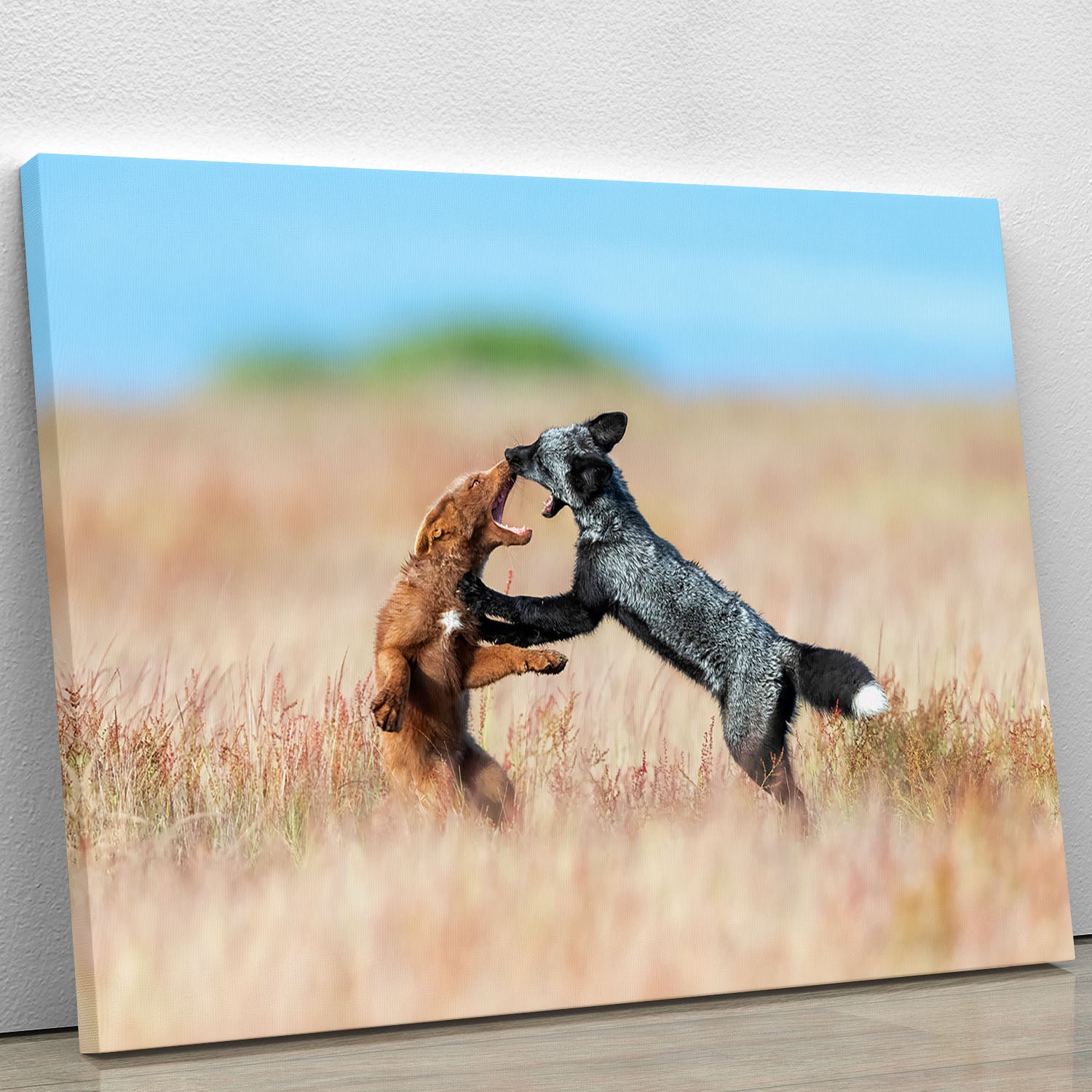 Two Foxes Wrestling Canvas Print or Poster - Canvas Art Rocks - 1