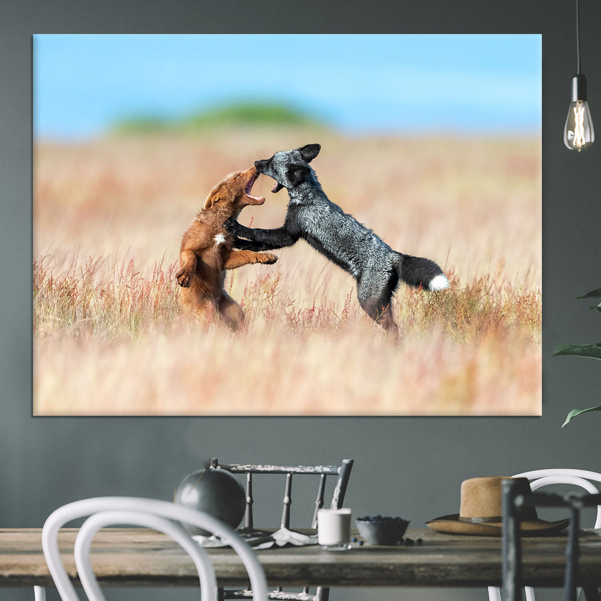 Two Foxes Wrestling Canvas Print or Poster - Canvas Art Rocks - 3