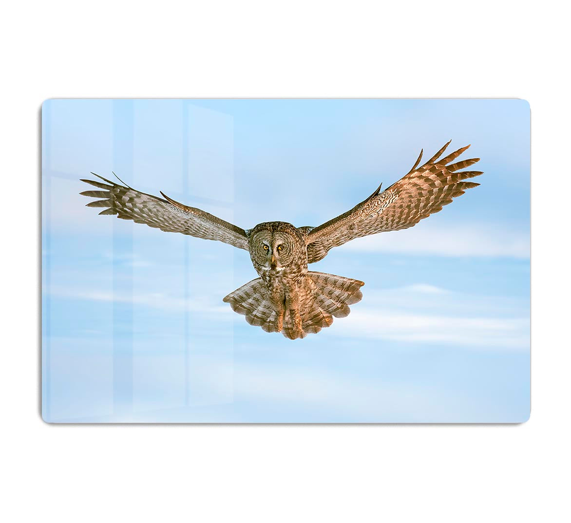 An Owl Flying HD Metal Print - Canvas Art Rocks - 1