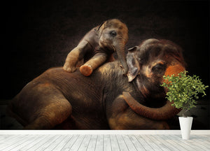 Mother And Baby Elephants Wall Mural Wallpaper - Canvas Art Rocks - 4
