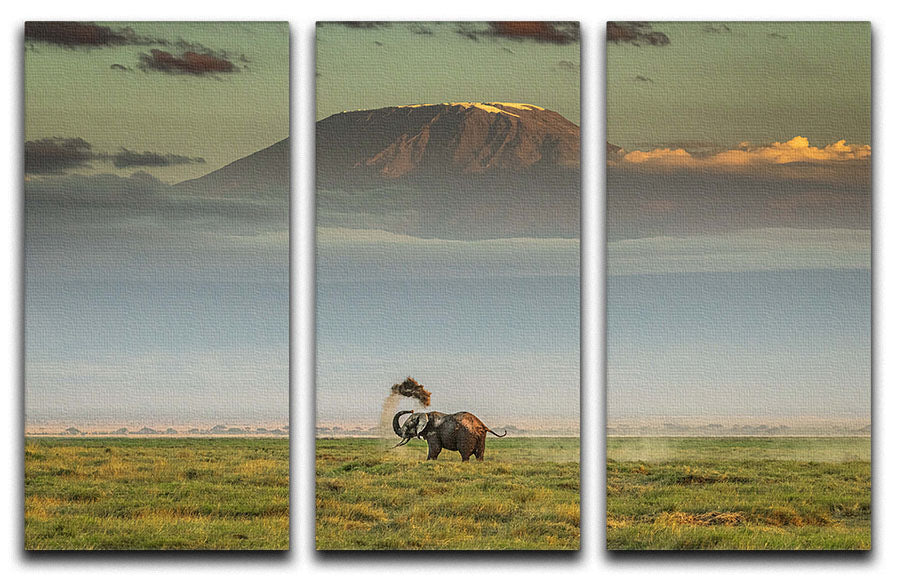 An Elephant Playing In The Dirt 3 Split Panel Canvas Print - Canvas Art Rocks - 1