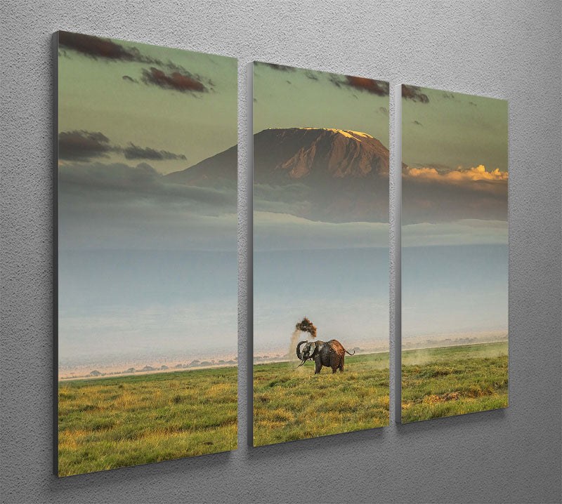 An Elephant Playing In The Dirt 3 Split Panel Canvas Print - Canvas Art Rocks - 2