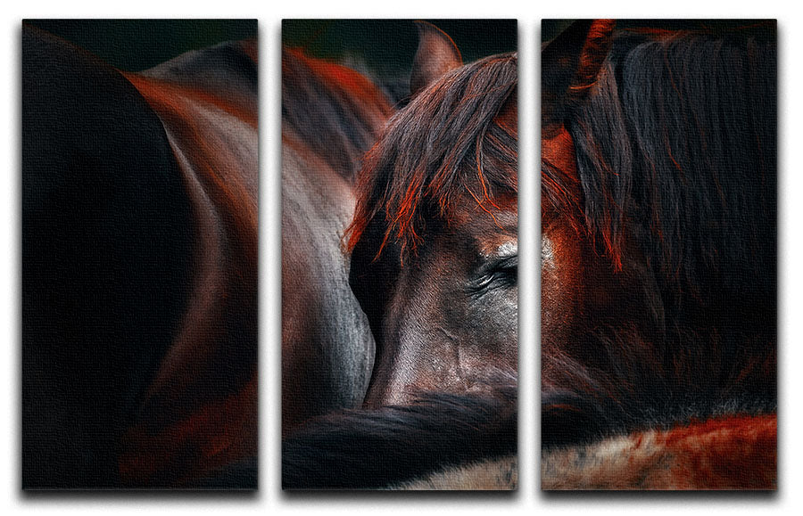 Horses Sleep In A Huddle 3 Split Panel Canvas Print - Canvas Art Rocks - 1