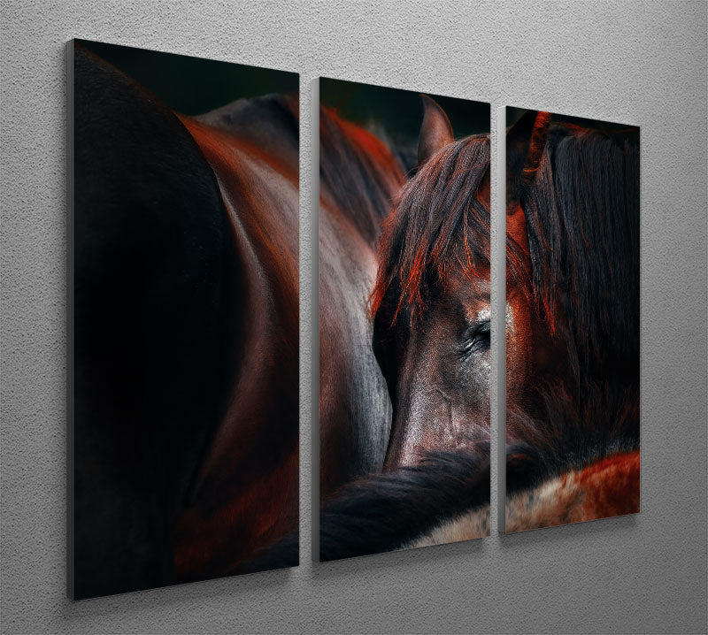 Horses Sleep In A Huddle 3 Split Panel Canvas Print - Canvas Art Rocks - 2