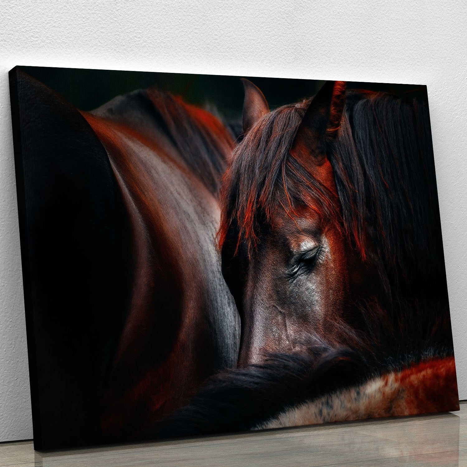Horses Sleep In A Huddle Canvas Print or Poster - Canvas Art Rocks - 1