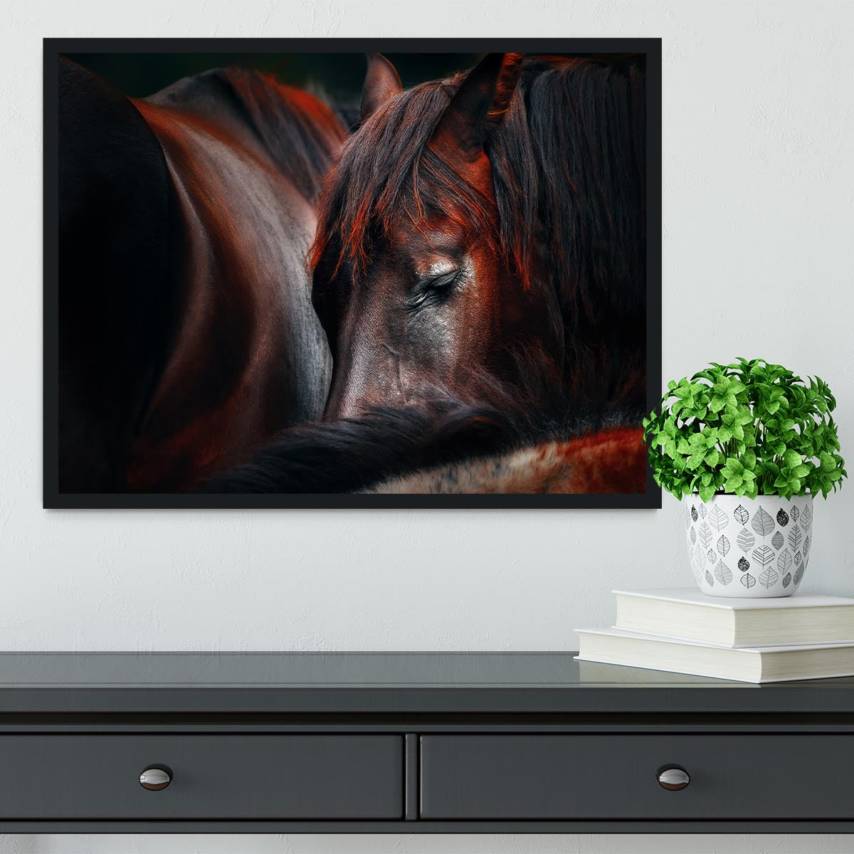 Horses Sleep In A Huddle Framed Print - Canvas Art Rocks - 2
