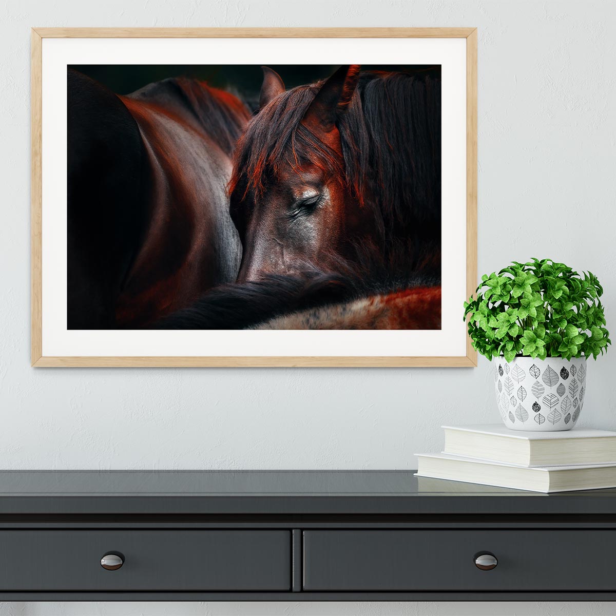Horses Sleep In A Huddle Framed Print - Canvas Art Rocks - 3