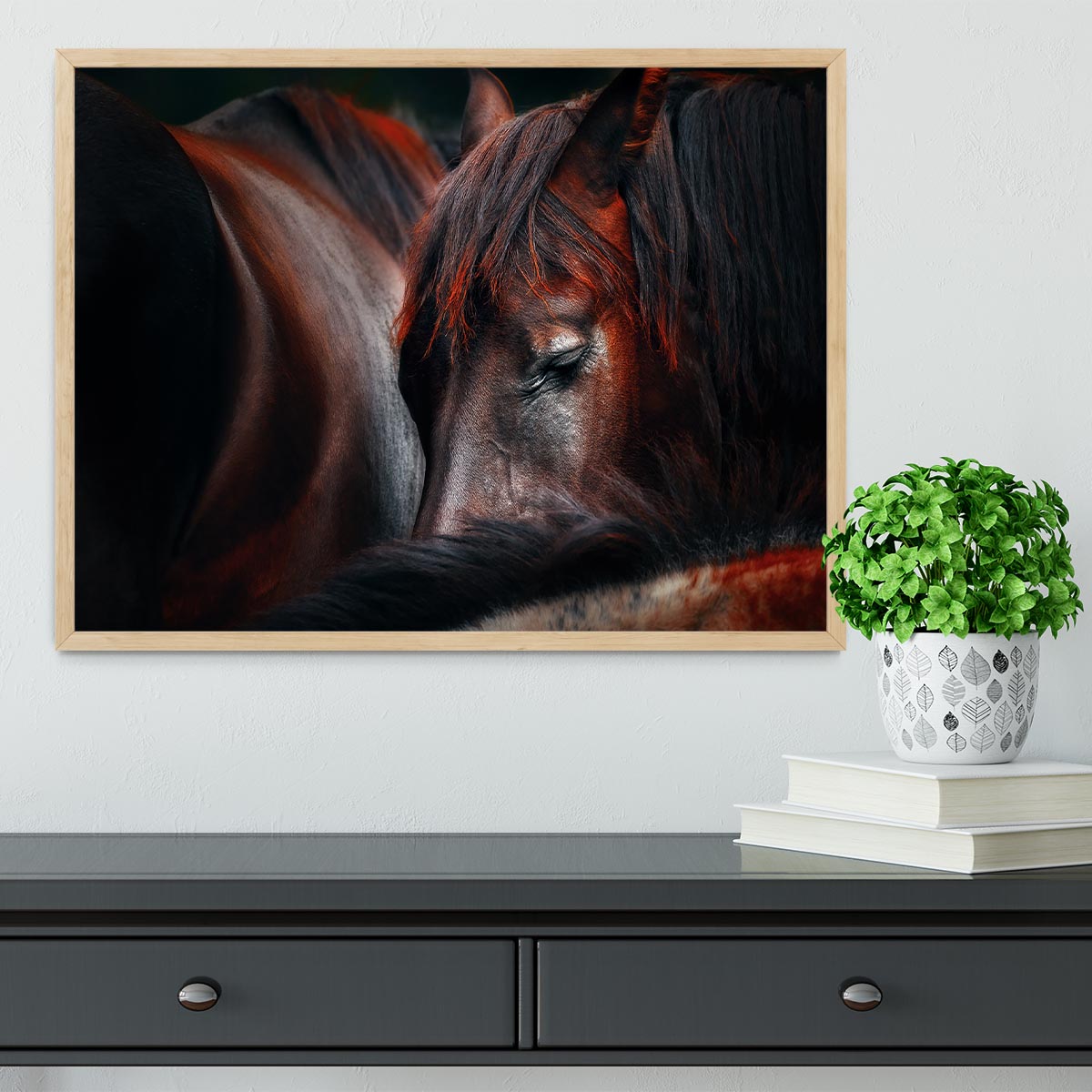 Horses Sleep In A Huddle Framed Print - Canvas Art Rocks - 4
