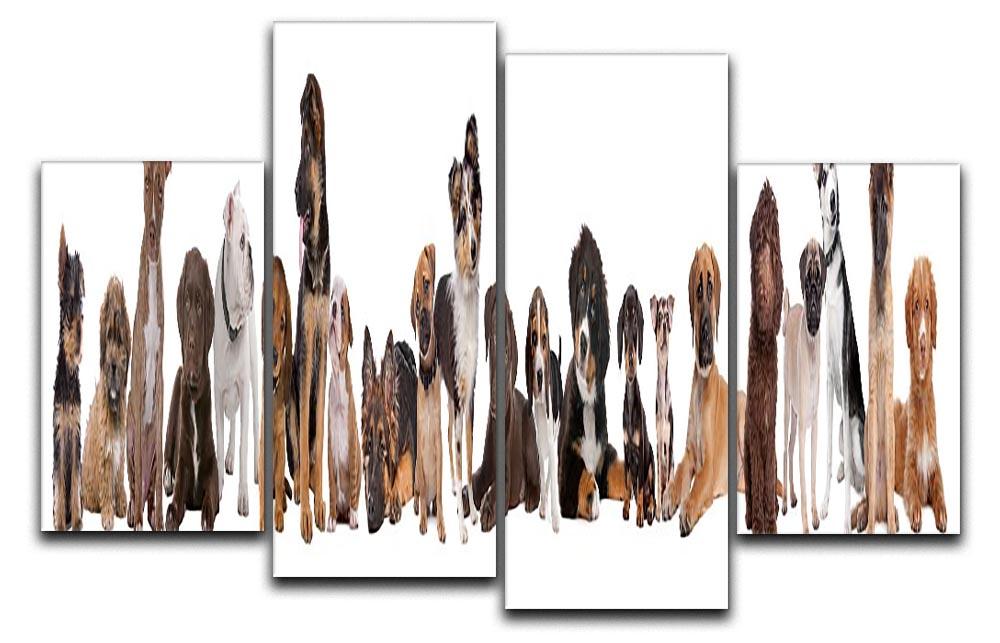 22 puppy dogs in a row in front of a white background 4 Split Panel Canvas - Canvas Art Rocks - 1