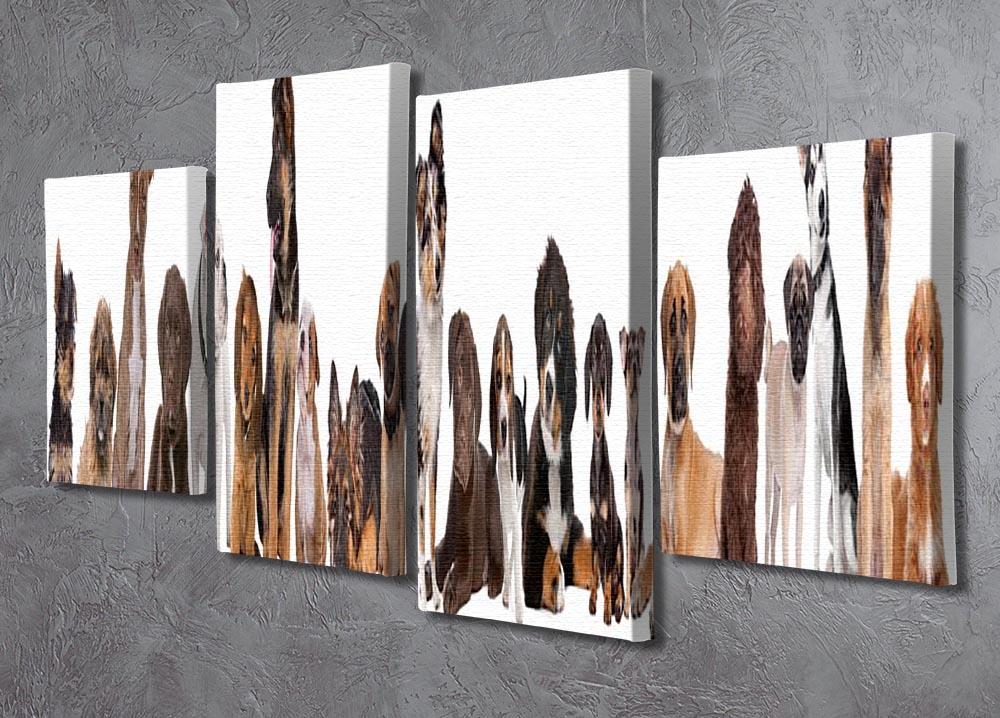 22 puppy dogs in a row in front of a white background 4 Split Panel Canvas - Canvas Art Rocks - 2