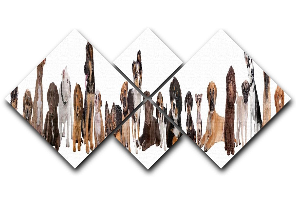 22 puppy dogs in a row in front of a white background 4 Square Multi Panel Canvas - Canvas Art Rocks - 1