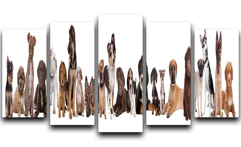 22 puppy dogs in a row in front of a white background 5 Split Panel Canvas - Canvas Art Rocks - 1