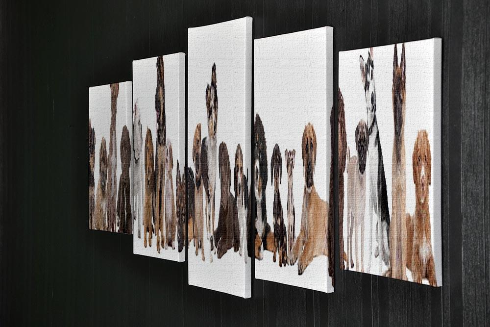 22 puppy dogs in a row in front of a white background 5 Split Panel Canvas - Canvas Art Rocks - 2
