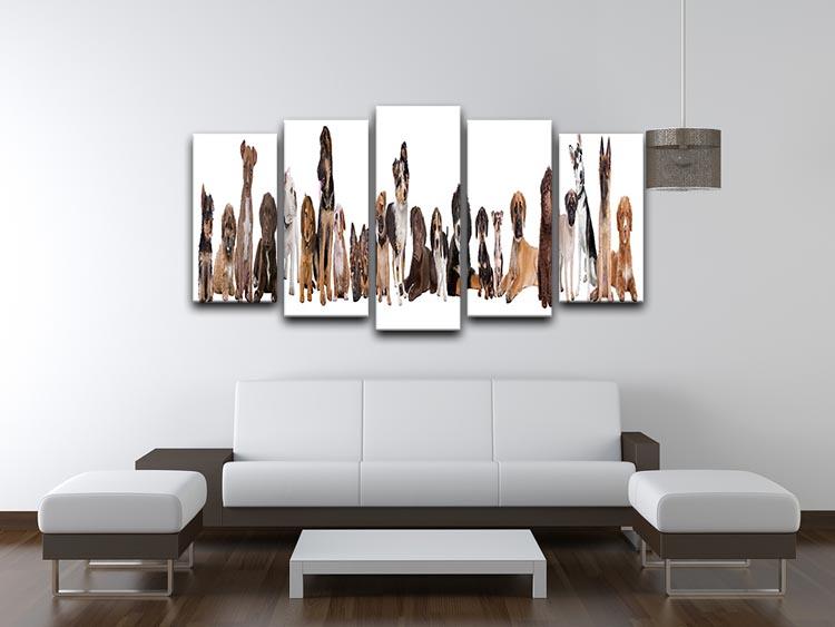 22 puppy dogs in a row in front of a white background 5 Split Panel Canvas - Canvas Art Rocks - 3