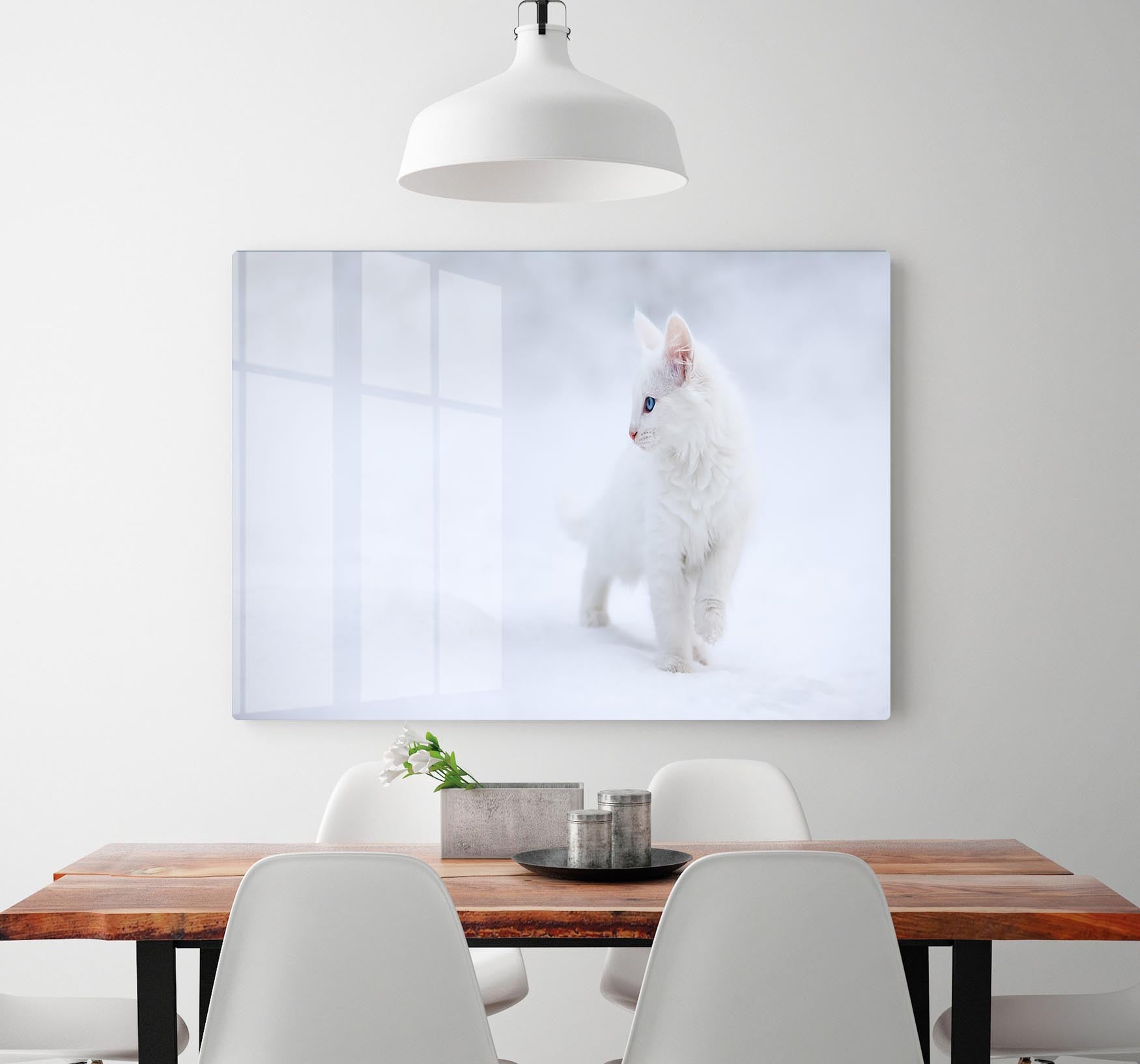 Kitten White as Snow HD Metal Print - Canvas Art Rocks - 2