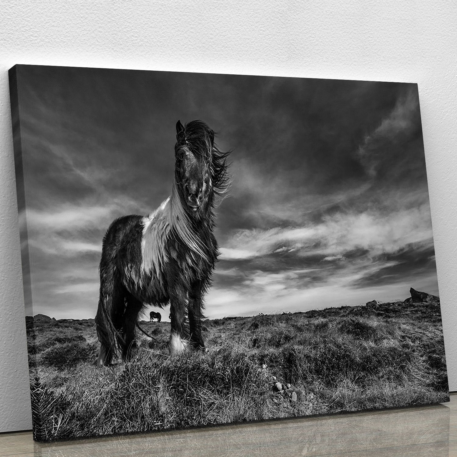 Horse Standing Canvas Print or Poster - Canvas Art Rocks - 1