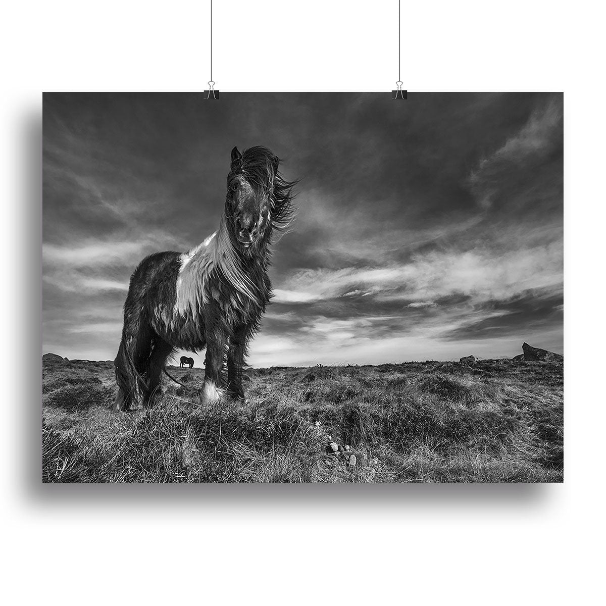 Horse Standing Canvas Print or Poster - Canvas Art Rocks - 2