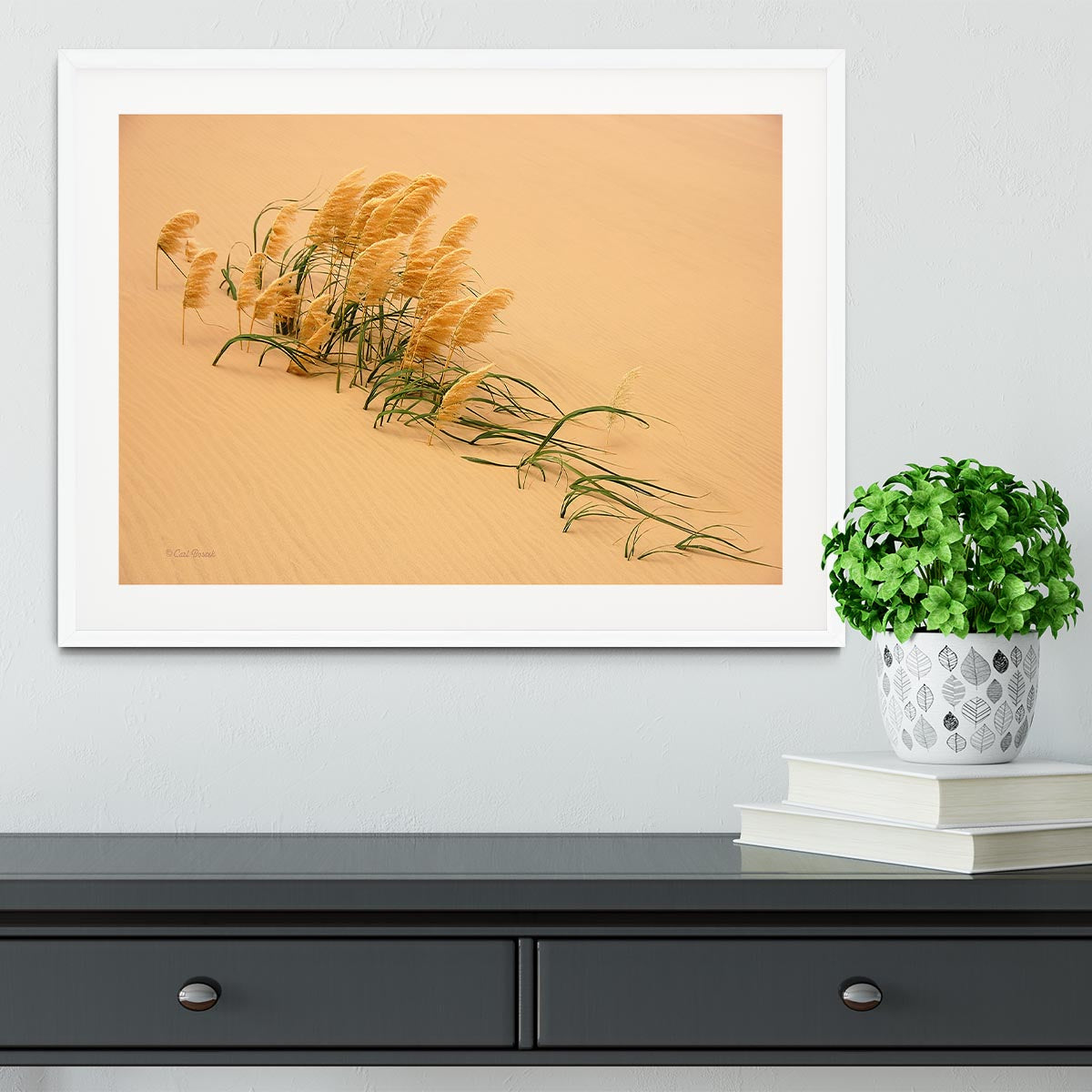 Pampas Grass In Sand Dune Framed Print - Canvas Art Rocks - 5