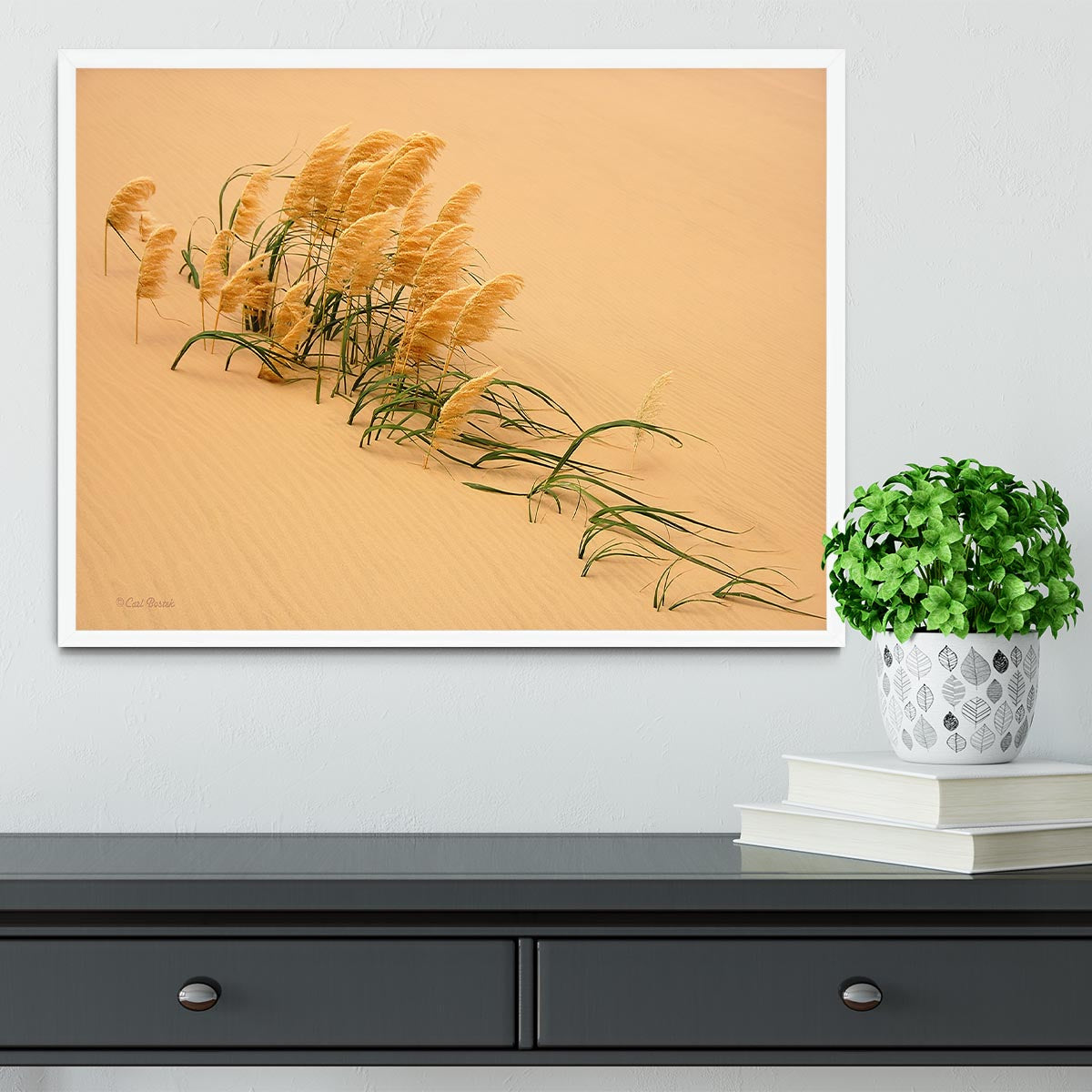 Pampas Grass In Sand Dune Framed Print - Canvas Art Rocks -6