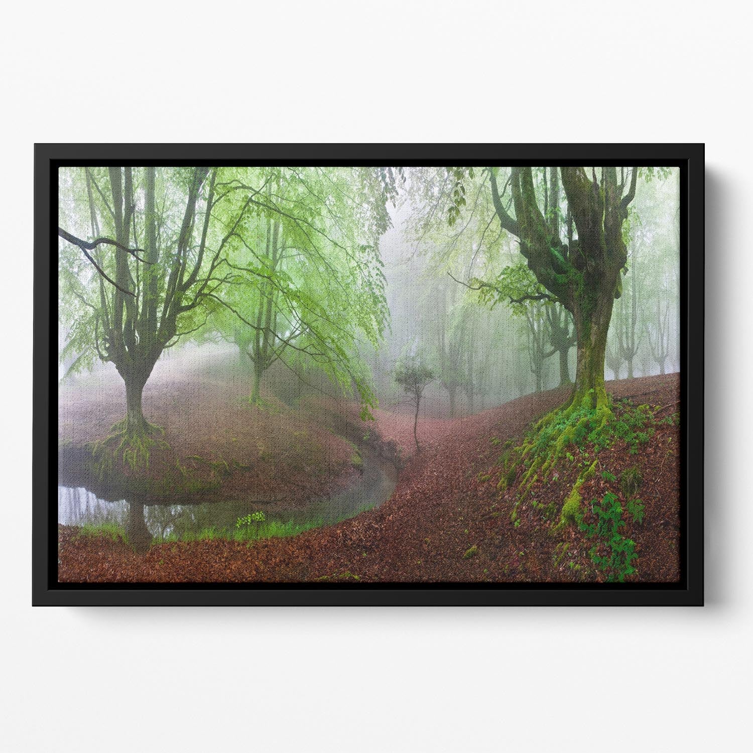 The Forest Maravillador Iii Floating Framed Canvas - Canvas Art Rocks - 2