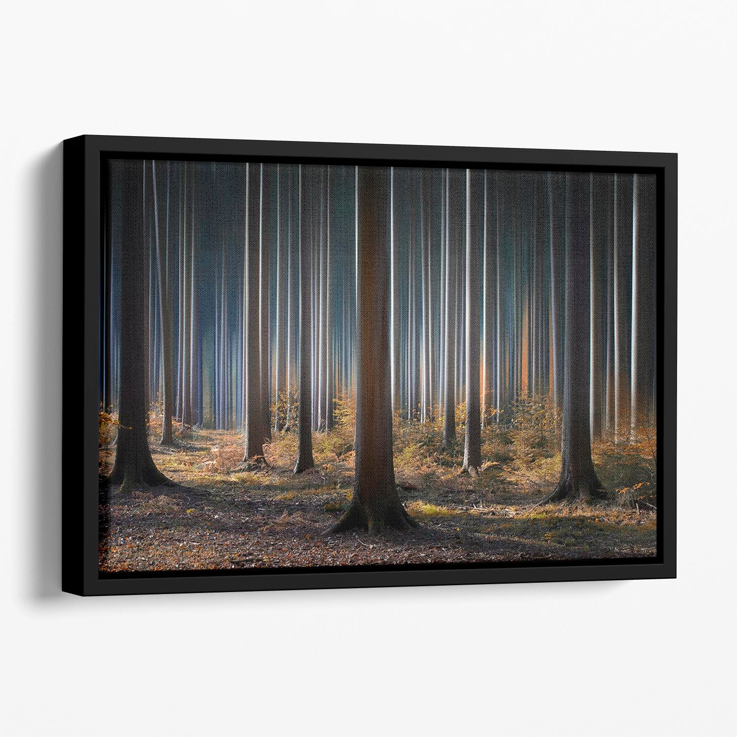 Mystic Wood Floating Framed Canvas - Canvas Art Rocks - 1