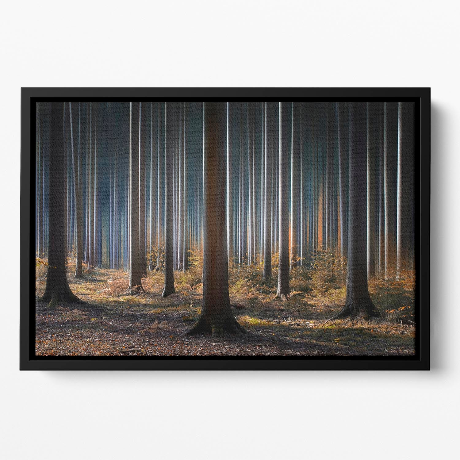 Mystic Wood Floating Framed Canvas - Canvas Art Rocks - 2